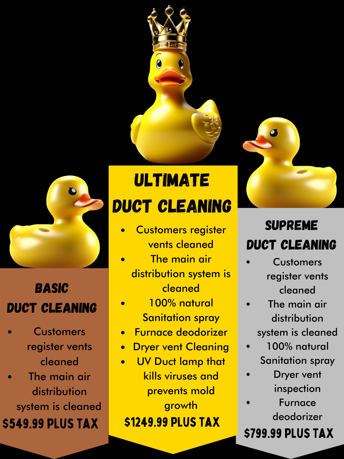 WEBSITE DUCT CLEANING